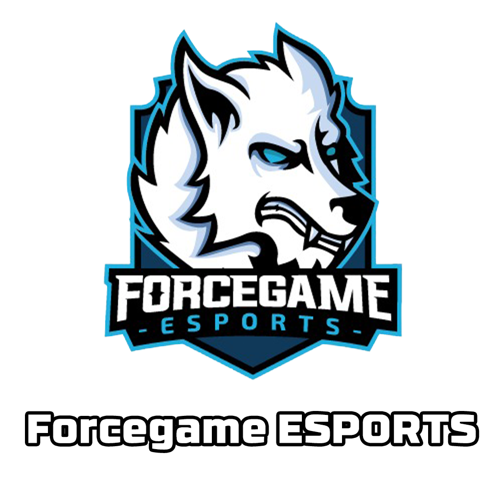 forcegame